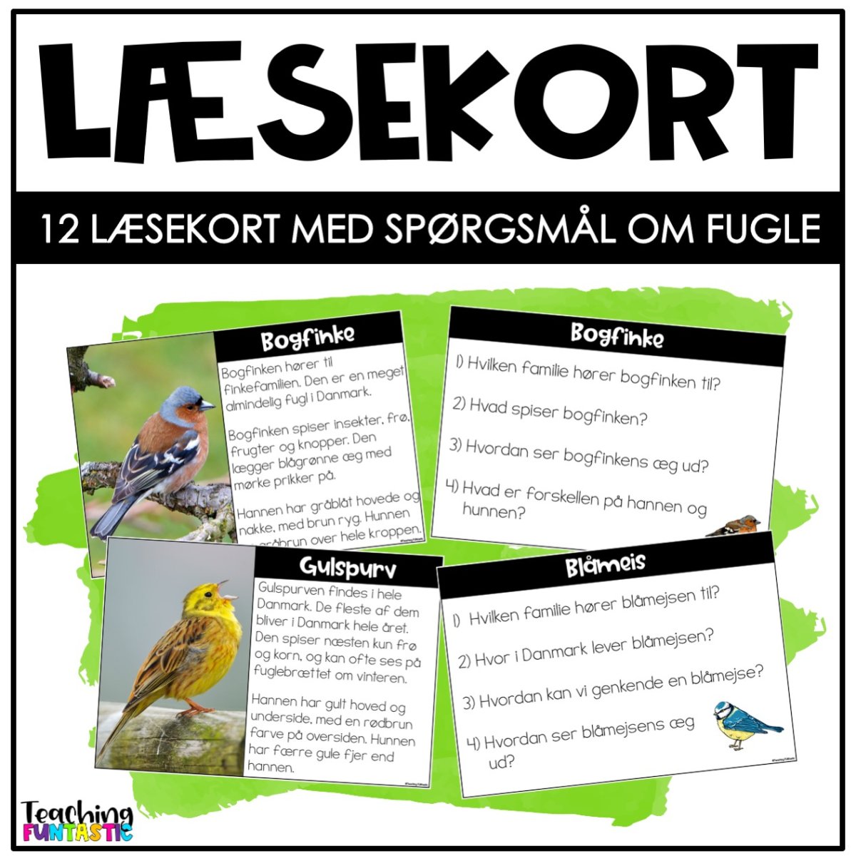 LÆSEKORT MED SPØRGSMÅL – FUGLE - Billede 2