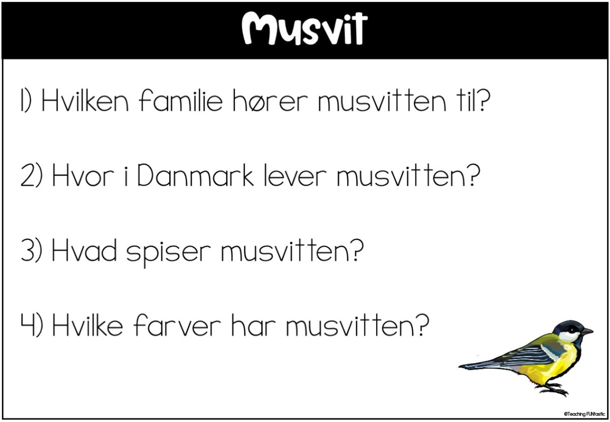 LÆSEKORT MED SPØRGSMÅL – FUGLE - Billede 4