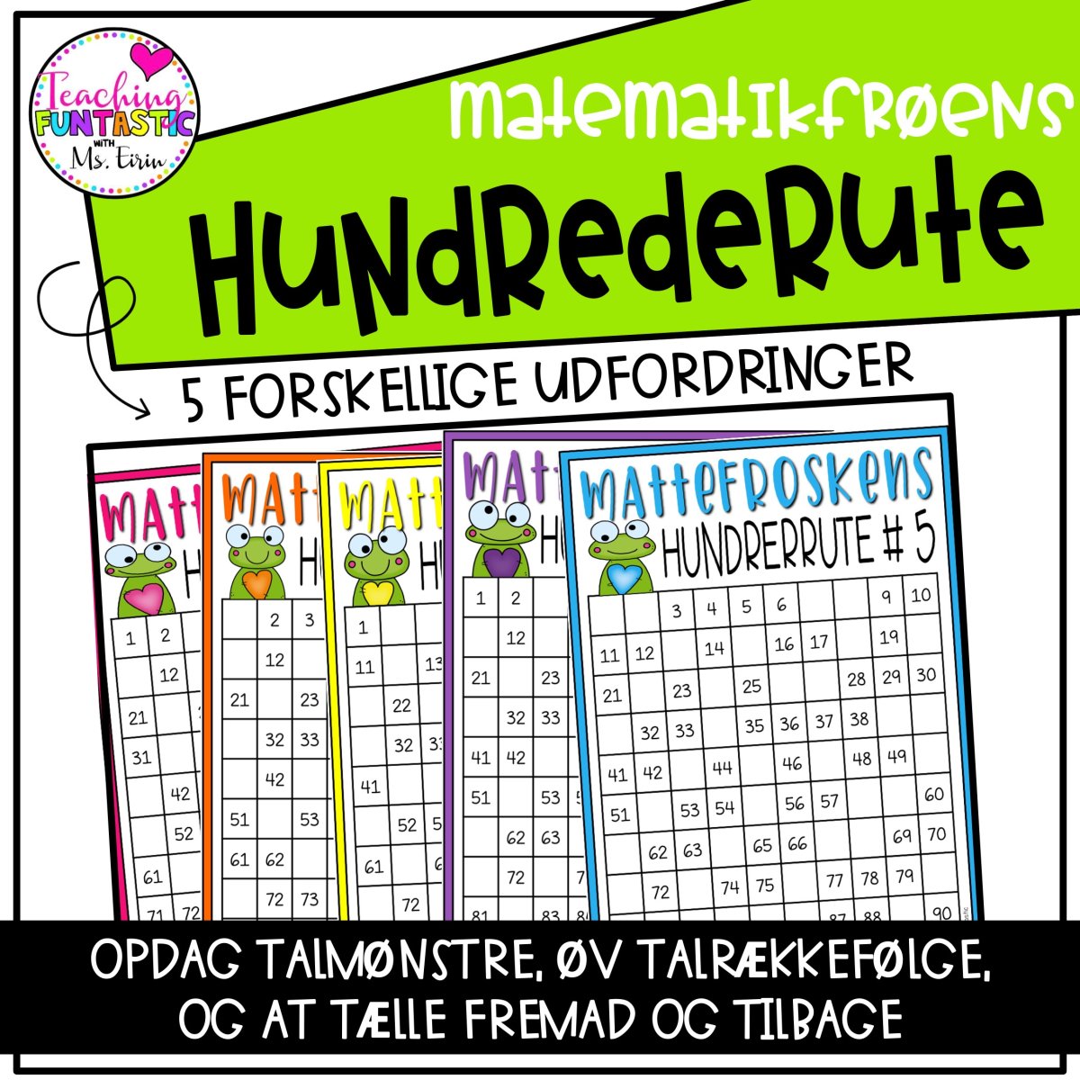 MATEMATIKFRØENS HUNDREDERUTE - Billede 2