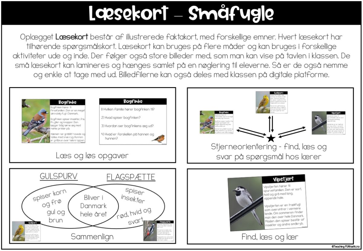 LÆSEKORT MED SPØRGSMÅL – FUGLE - Billede 5